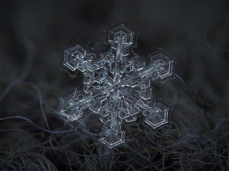 Snowflakes, Up Close and Personal